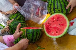 最新吃瓜恶心视频,最新吃瓜恶心视频，真相令人咋舌！