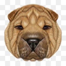 狗头吃瓜素材视频下载大全,欢乐瞬间，萌态百出