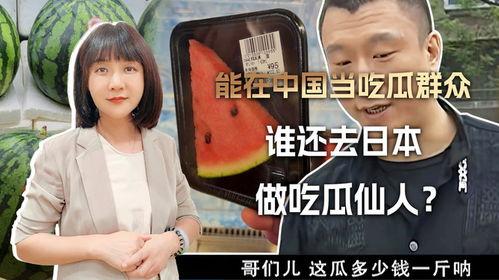 吃瓜群众片子视频大全,揭秘热门视频背后的故事与真相