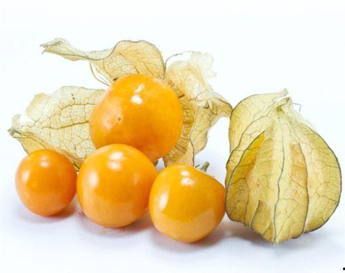 吃蜜瓜女孩原版视频,揭秘吃蜜瓜女孩原版视频的甜蜜魅力