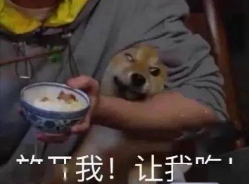 带你吃瓜搞笑恐怖视频,带你领略“吃瓜”与“恐怖”的奇妙融合