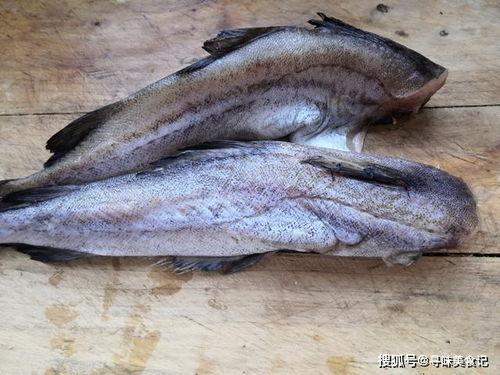 带你吃瓜活鲈鱼视频