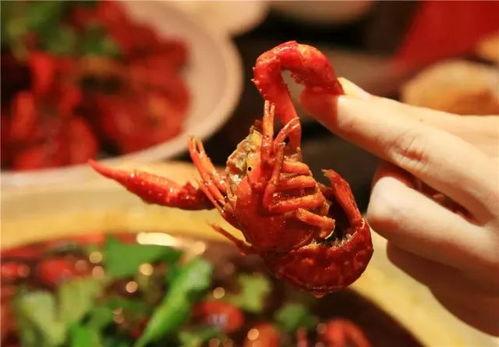 大瓜吃小龙虾视频,趣味吃播引网友热议