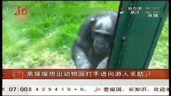 吃很大一块瓜原视频