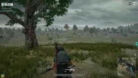 瓜哥吃鸡直播间视频下载,下载重温吃鸡激情