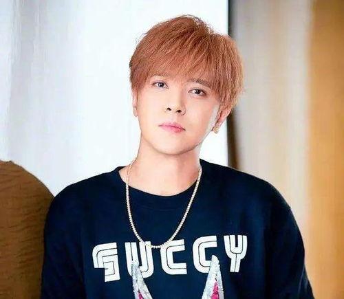 吃瓜主播罗志祥视频大全,揭秘吃瓜主播的娱乐盛宴